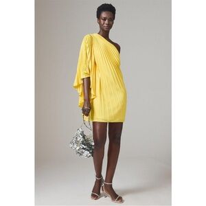 Hutch Marigold One Sleeve Pleated Dress